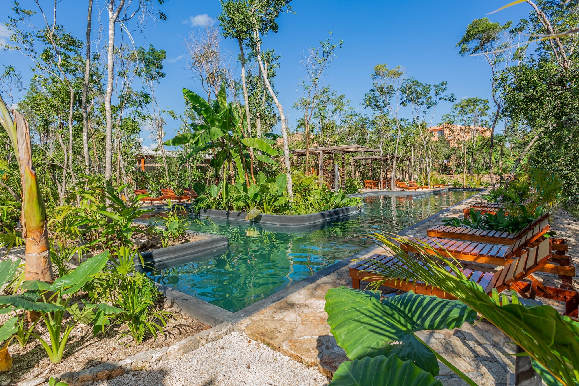 Casas, dúplex, departamentos y estudios entre la selva maya en el corazón de Tulum - 4
